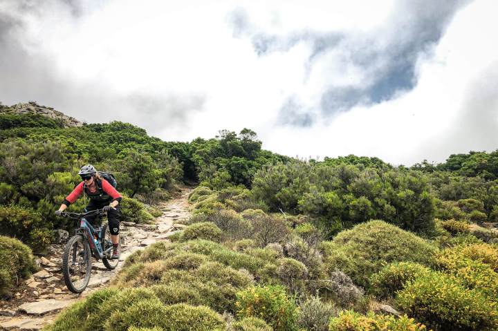 Mountainbiken auf Elba Frau fährt durch Macchia