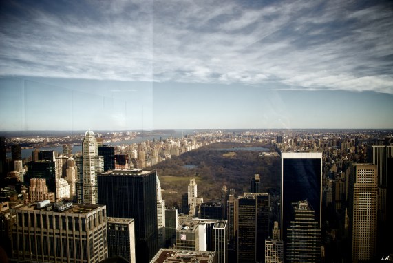 lets have a walk in the park