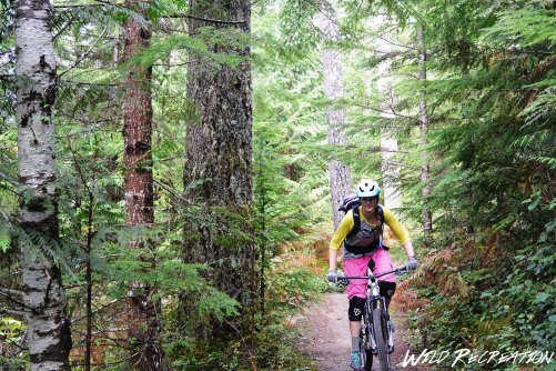 pseudo_tsuga_trail_wild_rec