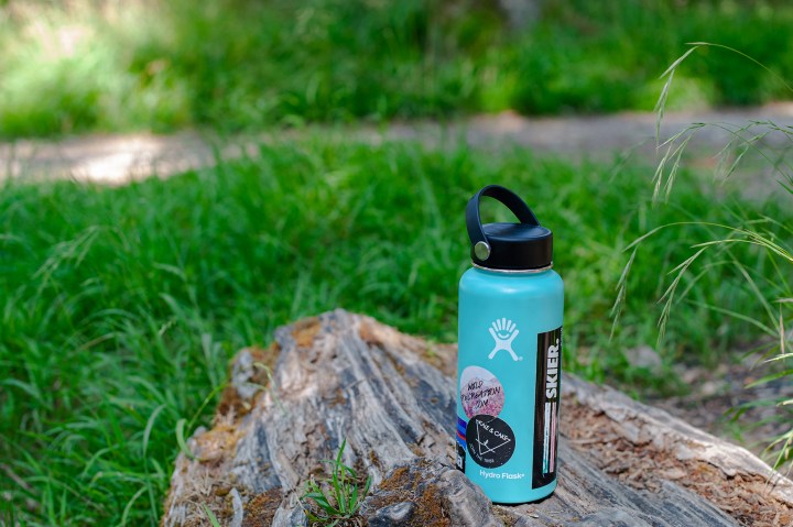 Flasche von Hydro Flask auf Baumstamm