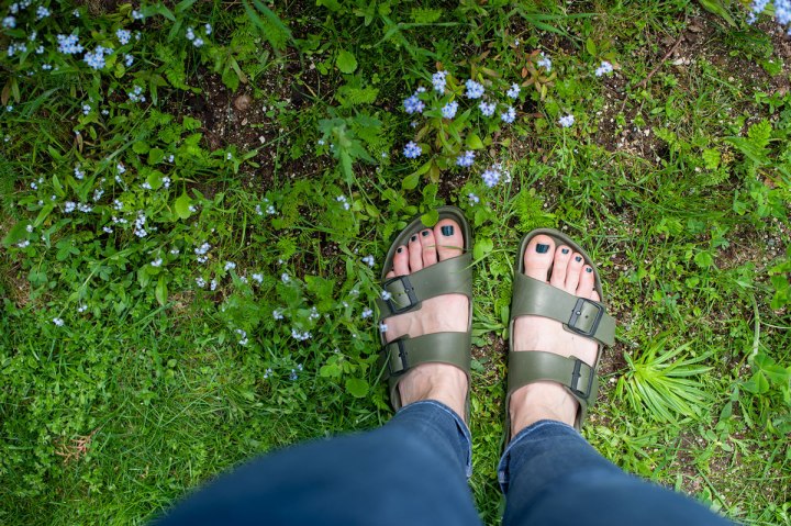 Frauenfüße in Birkenstocks